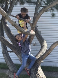 two children playing in a tree